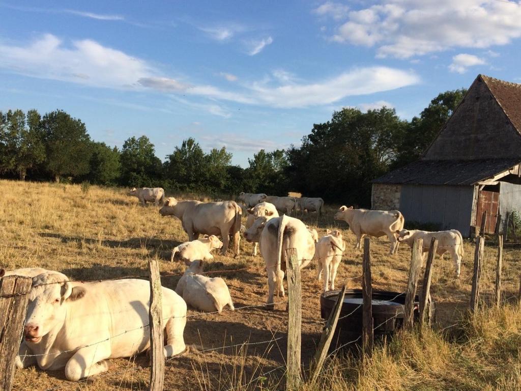Une Maison, Un Jardin Berthenay Kültér fotó