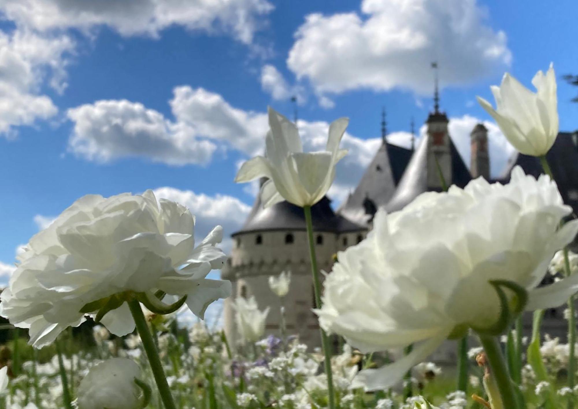 Une Maison, Un Jardin Berthenay Kültér fotó